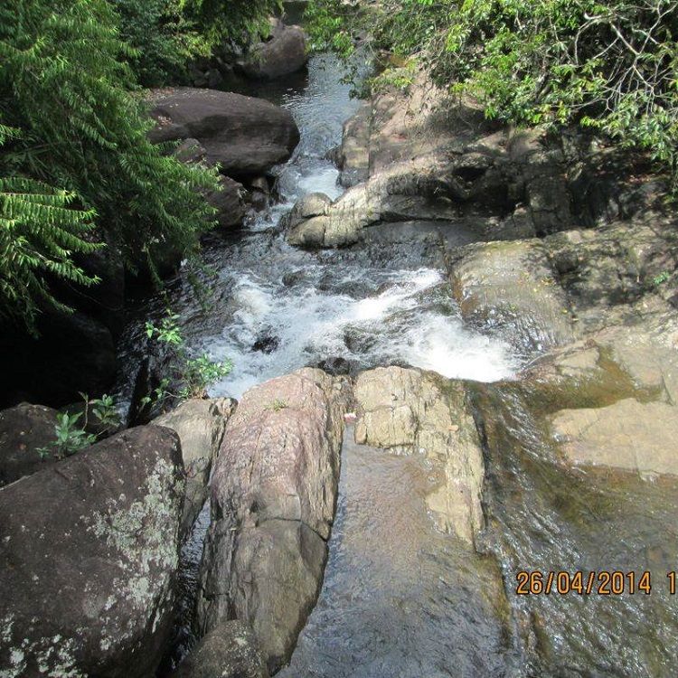 paniyawala rainforest yagirala sri lanka