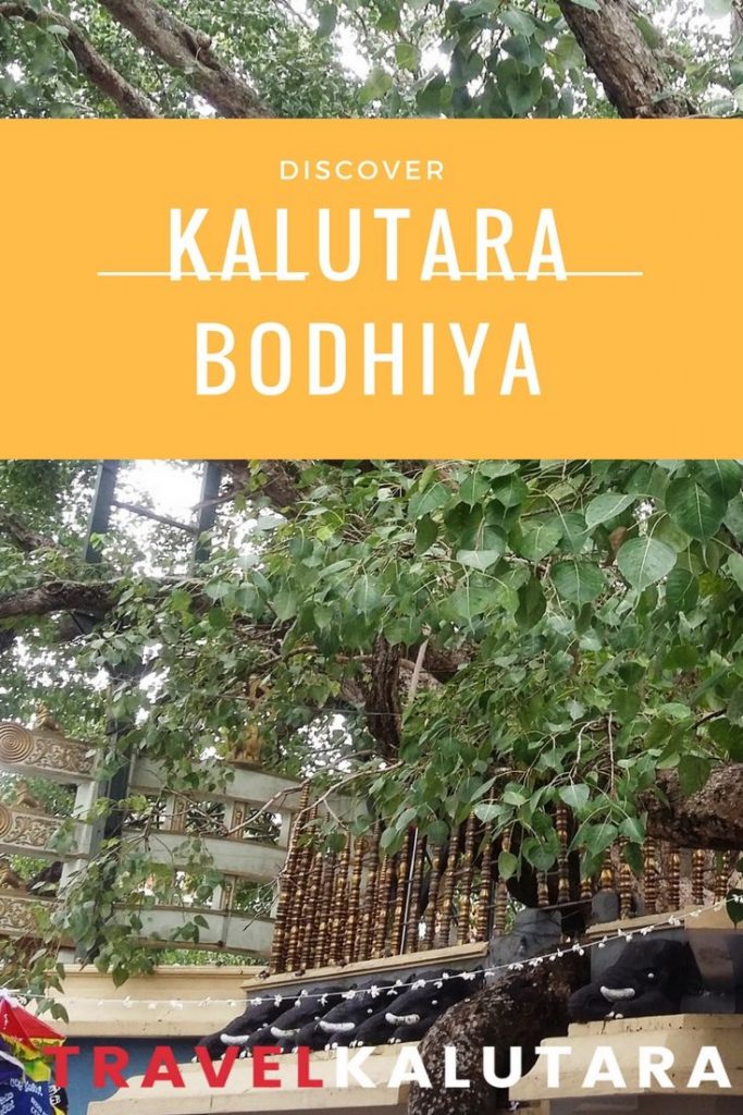 Kalutara Bodhiya Pinterest Banner