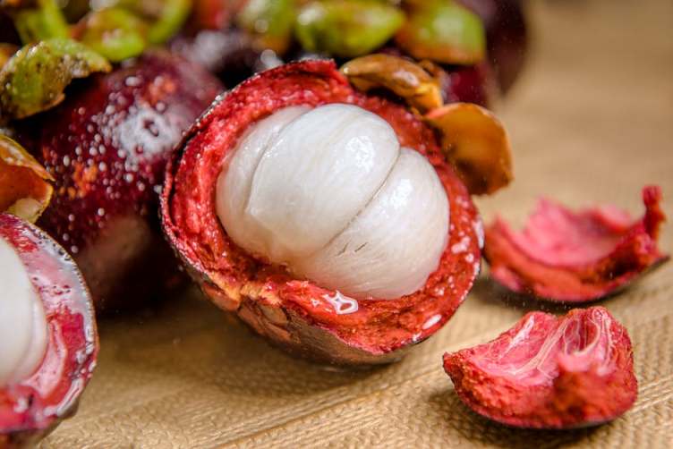 mangosteen is delicious fruit found in kalutara