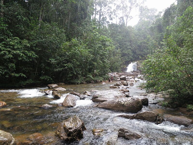 waterfalls in sinharaja