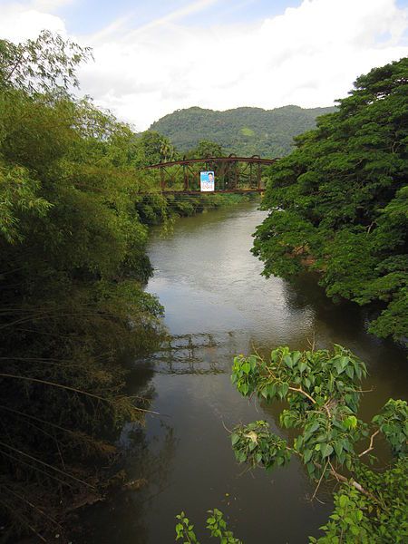 kalu river flowing amidst the forest