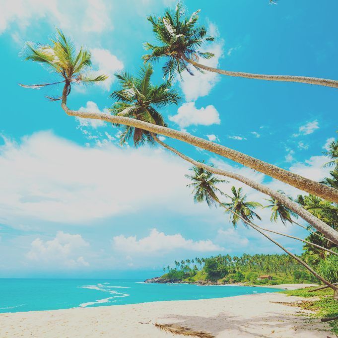 pristine hikkaduwa beach in sri lanka