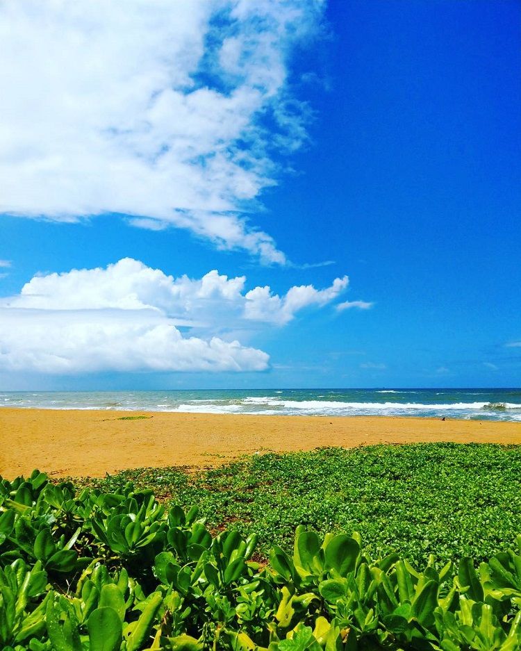 waskaduwa beach sri lanka