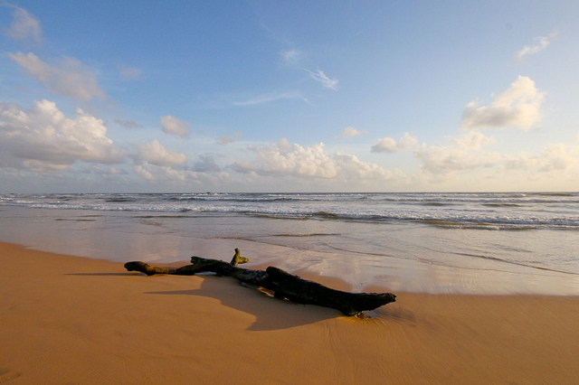Bentota beach, Sri Lanka By Asela Jayarathne via flickr