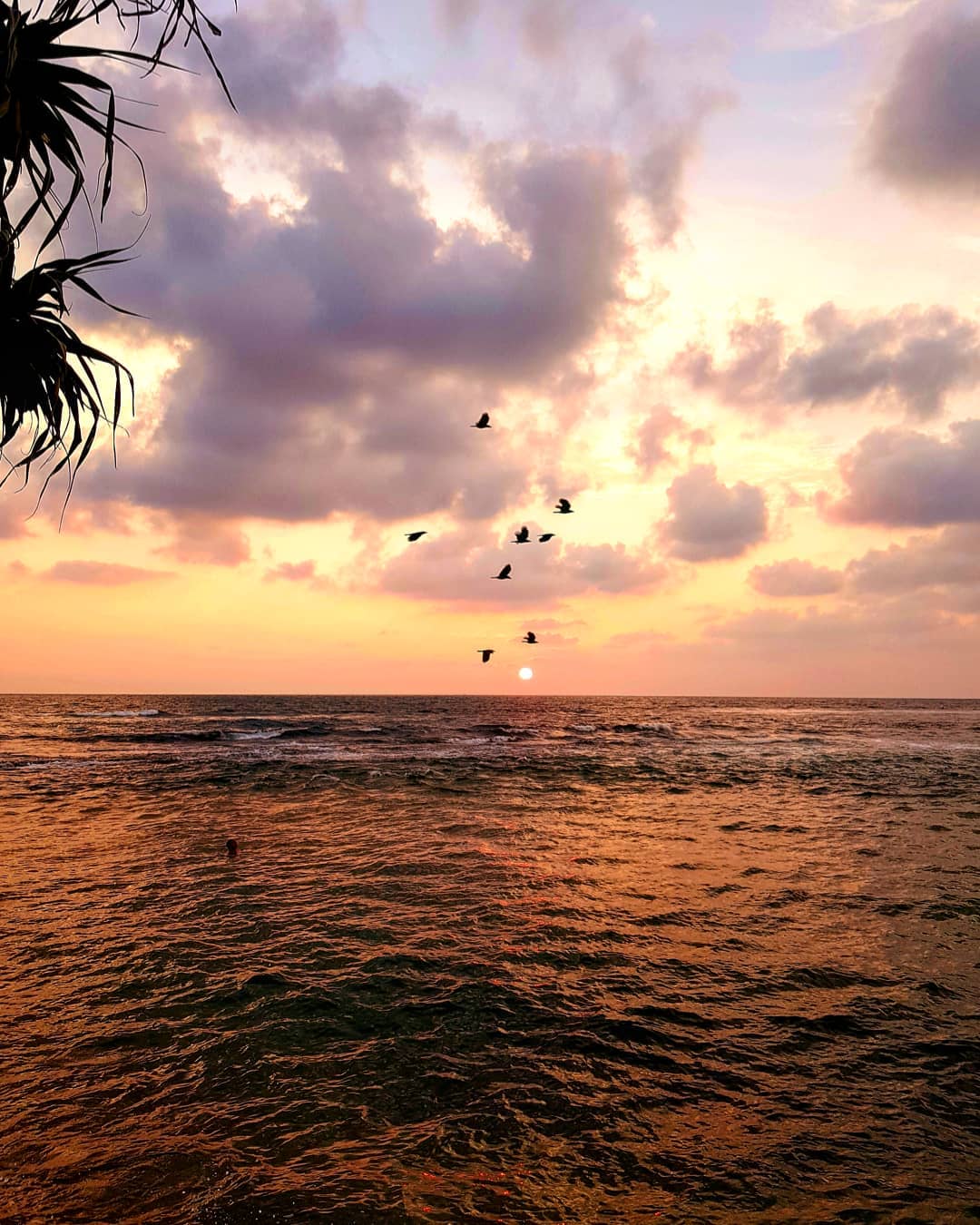 Lovely Sunset at Beruwala Beach